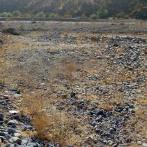 El robo de agua en Petorca: ¿quién es el que realmente daña más al país?
