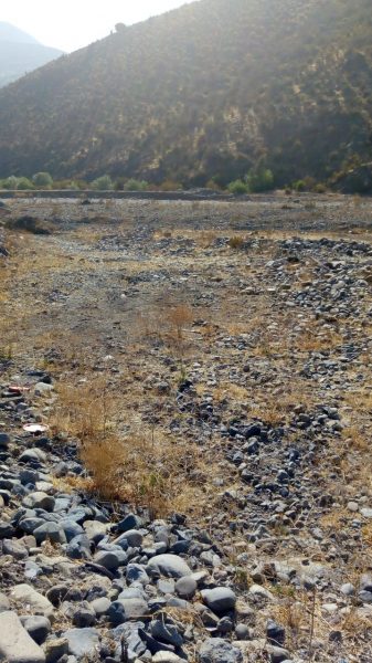 El robo de agua en Petorca: ¿quién es el que realmente daña más al país?