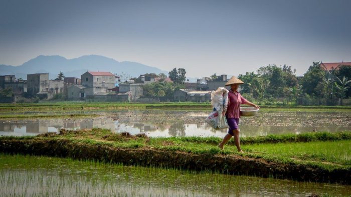 El revolucionario método para cultivar alimentos sin necesidad de usar fertilizantes El revolucionario método para cultivar alimentos sin necesidad de usar fertilizantes