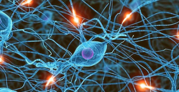 Neurocientíficos investigan cómo comunicarse con pacientes en coma Neurocientíficos investigan cómo comunicarse con pacientes en coma