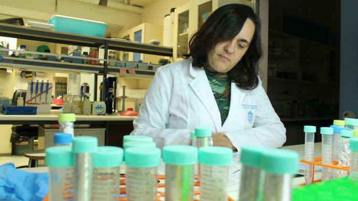 Investigadora chilena busca en algas la prevención del infarto cerebral