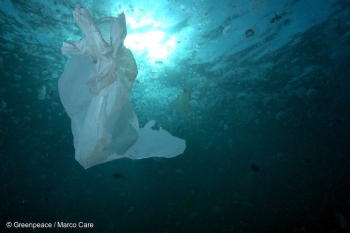 Greenpeace y hallazgo de microplásticos en centollas: “El plástico en el mar chileno se está convirtiendo en un problema de salud pública” Greenpeace y hallazgo de microplásticos en centollas: “El plástico en el mar chileno se está convirtiendo en un problema de salud pública”