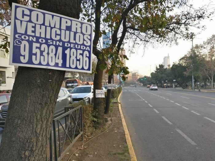 Greenpeace en el Día Mundial del Árbol: “Los árboles de Chile se están convirtiendo en verdaderos diarios murales” Greenpeace en el Día Mundial del Árbol: “Los árboles de Chile se están convirtiendo en verdaderos diarios murales”