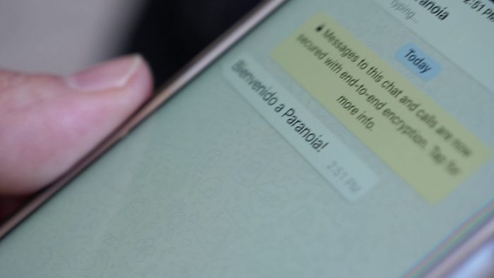 Obra «Paranoia»: una experiencia teatral por WhatsApp Obra «Paranoia»: una experiencia teatral por WhatsApp