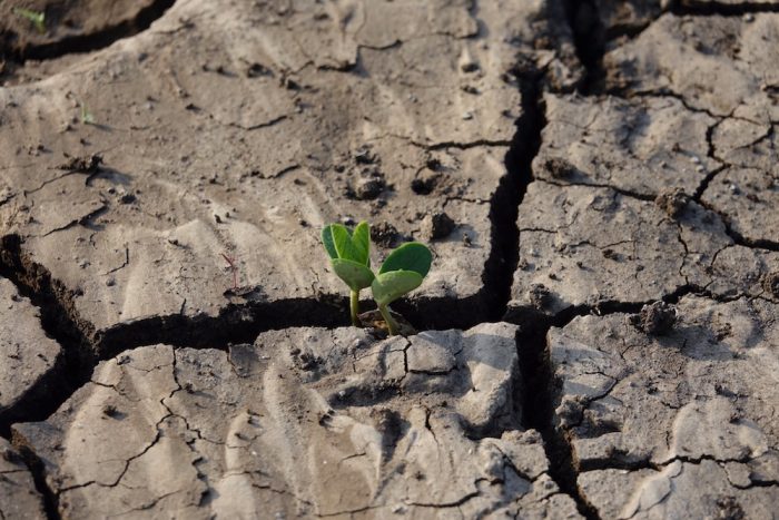 Tras el día mundial de la lucha contra la desertificación y la sequía: “Necesitamos aprender a administrar el recurso hídrico”