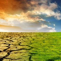 Contaminación del aire cuesta al mundo US$8.000 millones al día