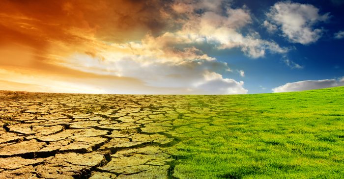 El 2020 fue el tercer año más cálido y dentro de los 10 más secos en Chile desde que hay registro El 2020 fue el tercer año más cálido y dentro de los 10 más secos en Chile desde que hay registro
