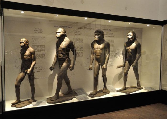 La Escuela Latinoamericana de Evolución cumple 10 años La Escuela Latinoamericana de Evolución cumple 10 años