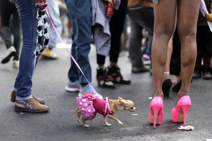 Mes del orgullo: ¿por qué tienen que ser tan locas? Mes del orgullo: ¿por qué tienen que ser tan locas?