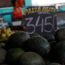 Oro verde: productores de palta chilenos viajan a Europa para enfrentar acusaciones sobre sequía en Petorca