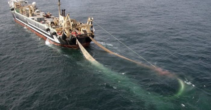 Estudio científico revela que la mayoría de la pesca en alta mar no sería rentable sin subsidios gubernamentales Estudio científico revela que la mayoría de la pesca en alta mar no sería rentable sin subsidios gubernamentales