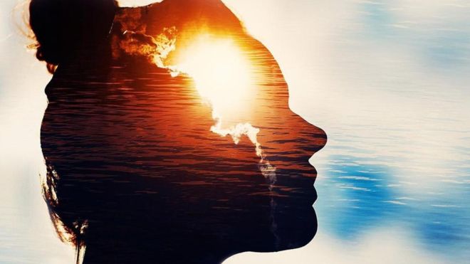 Así afectan los instintos a nuestras decisiones (y por qué a veces conviene ignorarlos y a veces no) Así afectan los instintos a nuestras decisiones (y por qué a veces conviene ignorarlos y a veces no)