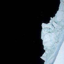 ¿Qué ocurrió con A-68, el gigantesco iceberg que se desprendió hace un año de la Antártica?