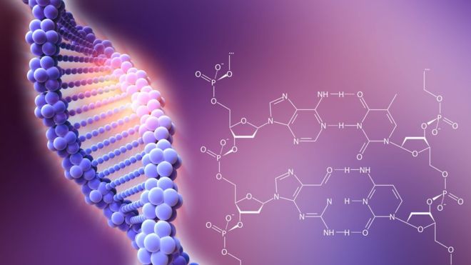 CRISPR/Cas9: las serias advertencias de unos científicos sobre los peligros de la técnica que revolucionó la genética CRISPR/Cas9: las serias advertencias de unos científicos sobre los peligros de la técnica que revolucionó la genética