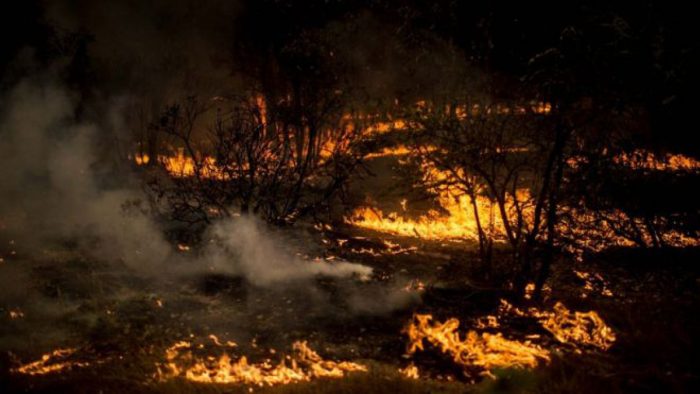 La colusión del fuego: Conaf estudia acciones legales contra empresas encargadas de apagar incendios forestales por 