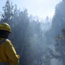 “Incendio” en la Conaf: Funcionarios califican al director y el ministro de Agricultura de ser los “sepultureros” de la entidad