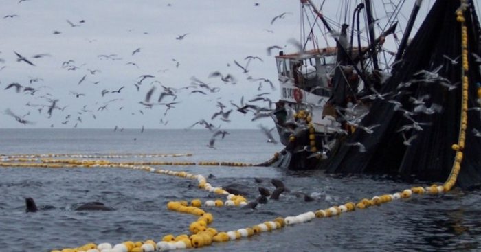 La pesca ilegal en aguas nacionales: un atentado flagrante contra la biodiversidad La pesca ilegal en aguas nacionales: un atentado flagrante contra la biodiversidad