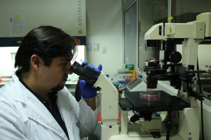 Peces, moscas y ratones protagonizan estudio chileno sobre desarrollo del cerebro publicado en “Nature Cell Biology” Peces, moscas y ratones protagonizan estudio chileno sobre desarrollo del cerebro publicado en “Nature Cell Biology”