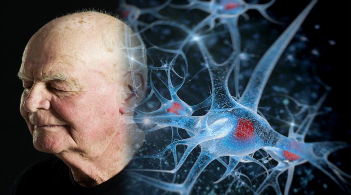 Tiemblan las AFP y el sistema de salud: ciencia calcula una nueva expectativa de vida en 140 años Tiemblan las AFP y el sistema de salud: ciencia calcula una nueva expectativa de vida en 140 años