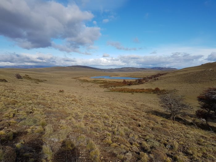 Reconocida familia plantará árboles en la Patagonia para combatir el impacto del cambio climático Reconocida familia plantará árboles en la Patagonia para combatir el impacto del cambio climático