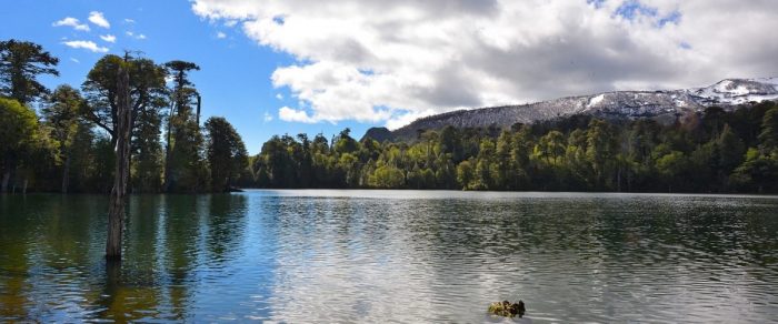 Parques Nacionales: tiempos mejores para los privados Parques Nacionales: tiempos mejores para los privados