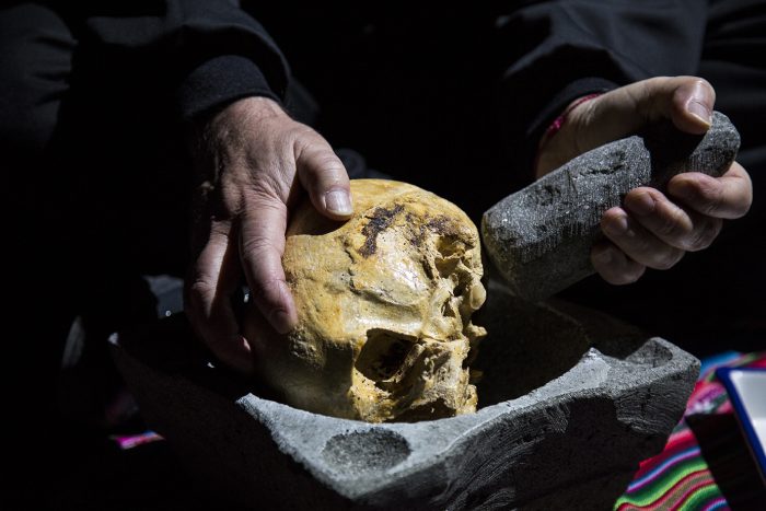 “La lección de pintura”, el documental sobre la emblemática obra de huesos humanos pintados de Arturo Duclós “La lección de pintura”, el documental sobre la emblemática obra de huesos humanos pintados de Arturo Duclós