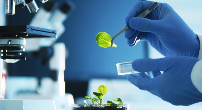 Biotecnología y sostenibilidad agrícola