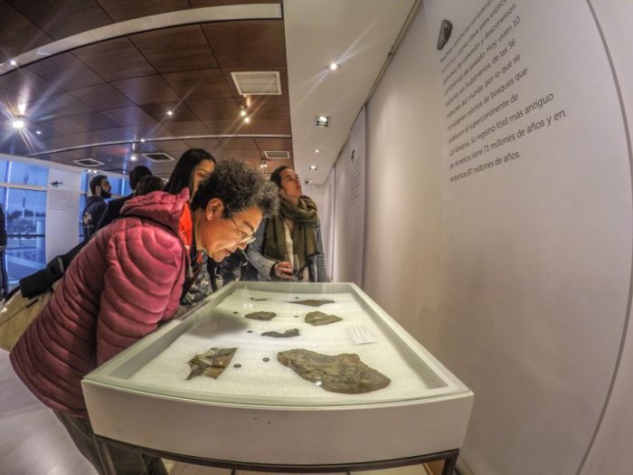 “Patagonia Fósil”: exitoso proyecto paleontológico busca potenciar el turismo científico “Patagonia Fósil”: exitoso proyecto paleontológico busca potenciar el turismo científico