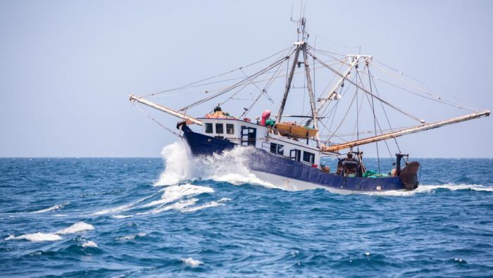 El reconocimiento que alienta a la pesca industrial El reconocimiento que alienta a la pesca industrial