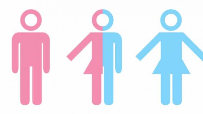 Gobierno alemán aprueba introducir el tercer sexo en registro de nacimiento Gobierno alemán aprueba introducir el tercer sexo en registro de nacimiento
