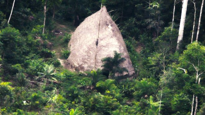 La imágenes de indígenas aislados en el Amazonas que nunca habían sido contactados La imágenes de indígenas aislados en el Amazonas que nunca habían sido contactados