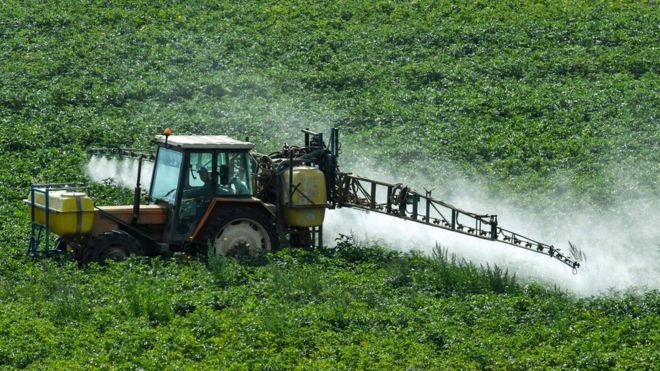 Qué es el glifosato, la substancia en los herbicidas más usados del mundo por la cual Monsanto fue demandada Qué es el glifosato, la substancia en los herbicidas más usados del mundo por la cual Monsanto fue demandada