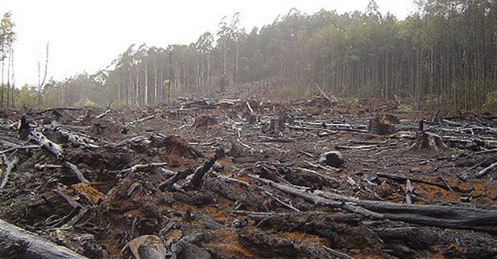 Chile país OCDE: inequidad, reactivación económica y depredación del Medio Ambiente Chile país OCDE: inequidad, reactivación económica y depredación del Medio Ambiente