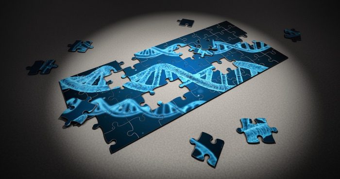 Estudio científico revela que los genes del padre pueden tener impacto en el cuidado materno Estudio científico revela que los genes del padre pueden tener impacto en el cuidado materno