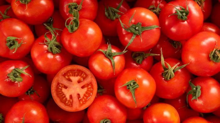El tomate sería beneficioso para la salud pulmonar El tomate sería beneficioso para la salud pulmonar