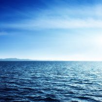 Apoyo de Chile a protección del 30% de los océanos: “Es un paso mínimo para detener la crisis que viven los mares del planeta”
