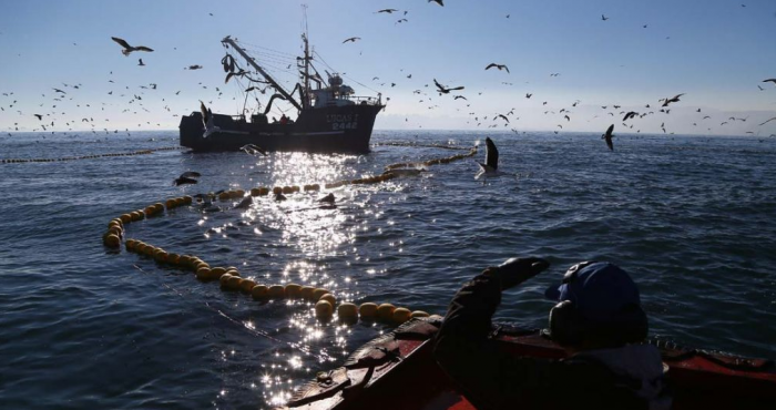 A propósito del fallo de La Haya ¿en realidad nuestro mar y sus recursos son de todos los chilenos? A propósito del fallo de La Haya ¿en realidad nuestro mar y sus recursos son de todos los chilenos?