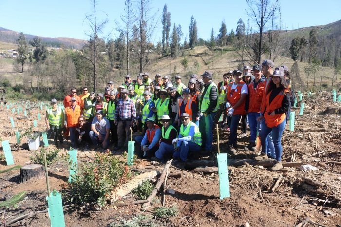 Inician proyecto de reforestación en Cerro La Carmiña de Santa Olga Inician proyecto de reforestación en Cerro La Carmiña de Santa Olga