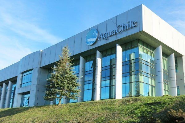 Cae porcentaje de fusiones y adquisiciones de empresas durante agosto Cae porcentaje de fusiones y adquisiciones de empresas durante agosto