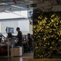 Sostenibilidad en los negocios: ¿se puede?