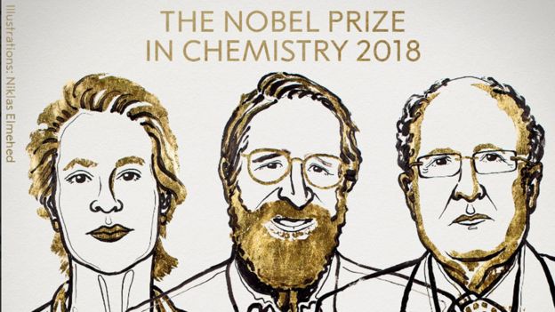 Nobel de Química por avances en desarrollo proteínas basados en cambios genéticos y selección