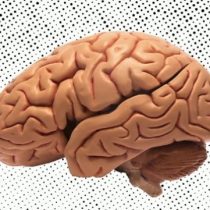 La razón evolutiva por la que te cuesta hacer ejercicio