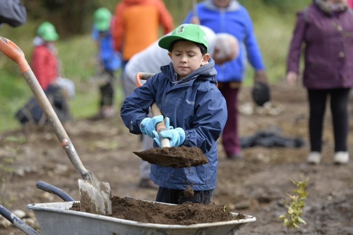 Con éxito se vivió la jornada de reforestación de Quebrada Honda Con éxito se vivió la jornada de reforestación de Quebrada Honda