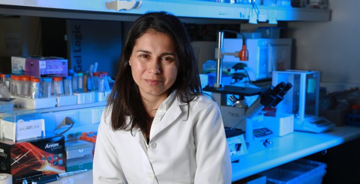 Científica chilena obtiene Premio Avonni con sistema de diagnóstico rápido de virus Científica chilena obtiene Premio Avonni con sistema de diagnóstico rápido de virus