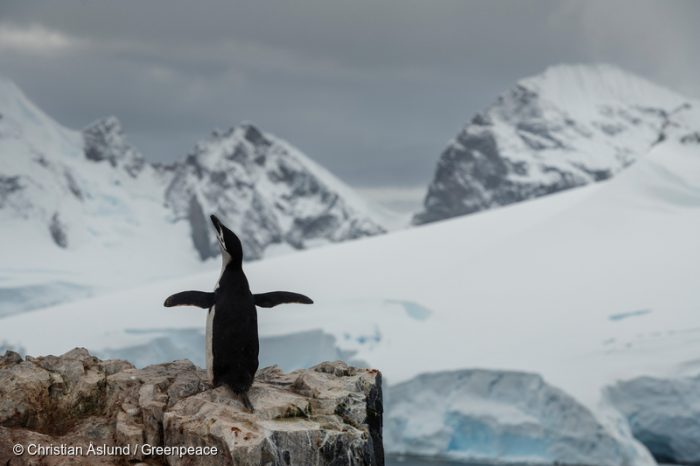 Nuevo mapa es el mejor del mundo: la Antártica en alta resolución