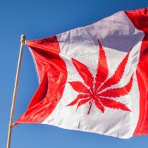 Cannabis legal en Canadá: colas y escasez en los primeros días de venta y de consumo legal de marihuana