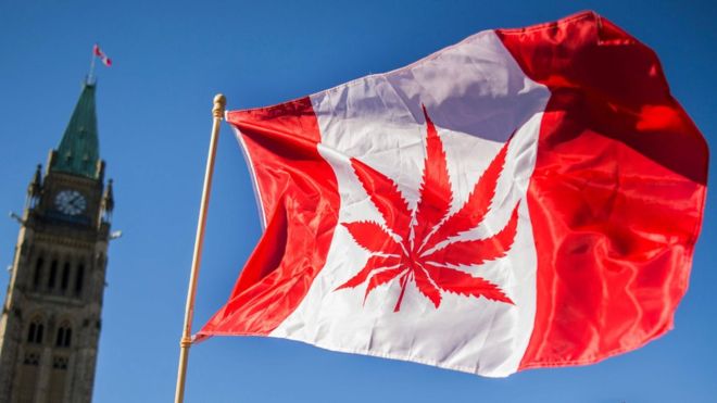 Cannabis legal en Canadá: colas y escasez en los primeros días de venta y de consumo legal de marihuana Cannabis legal en Canadá: colas y escasez en los primeros días de venta y de consumo legal de marihuana