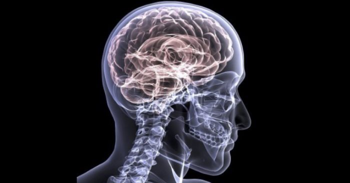 Estudio del MIT revela que el cerebro recurre a experiencias pasadas para sobreponerse a lo desconocido Estudio del MIT revela que el cerebro recurre a experiencias pasadas para sobreponerse a lo desconocido