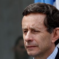De Gregorio por retiro del 10%: el Gobierno 