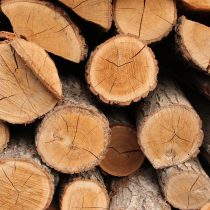Deudas con nuestra madera y medio ambiente